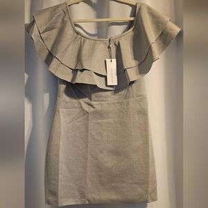 Chic Gray Ruffled Mini Dress